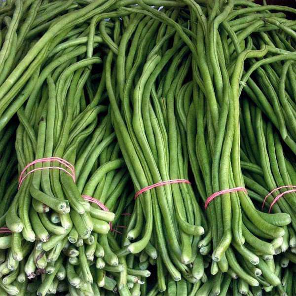 Lobia Beans Vegetable Seeds